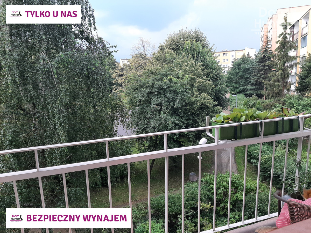 Mieszkanie, wynajem, Zaspa, Gdańsk. zdjęcie 17
