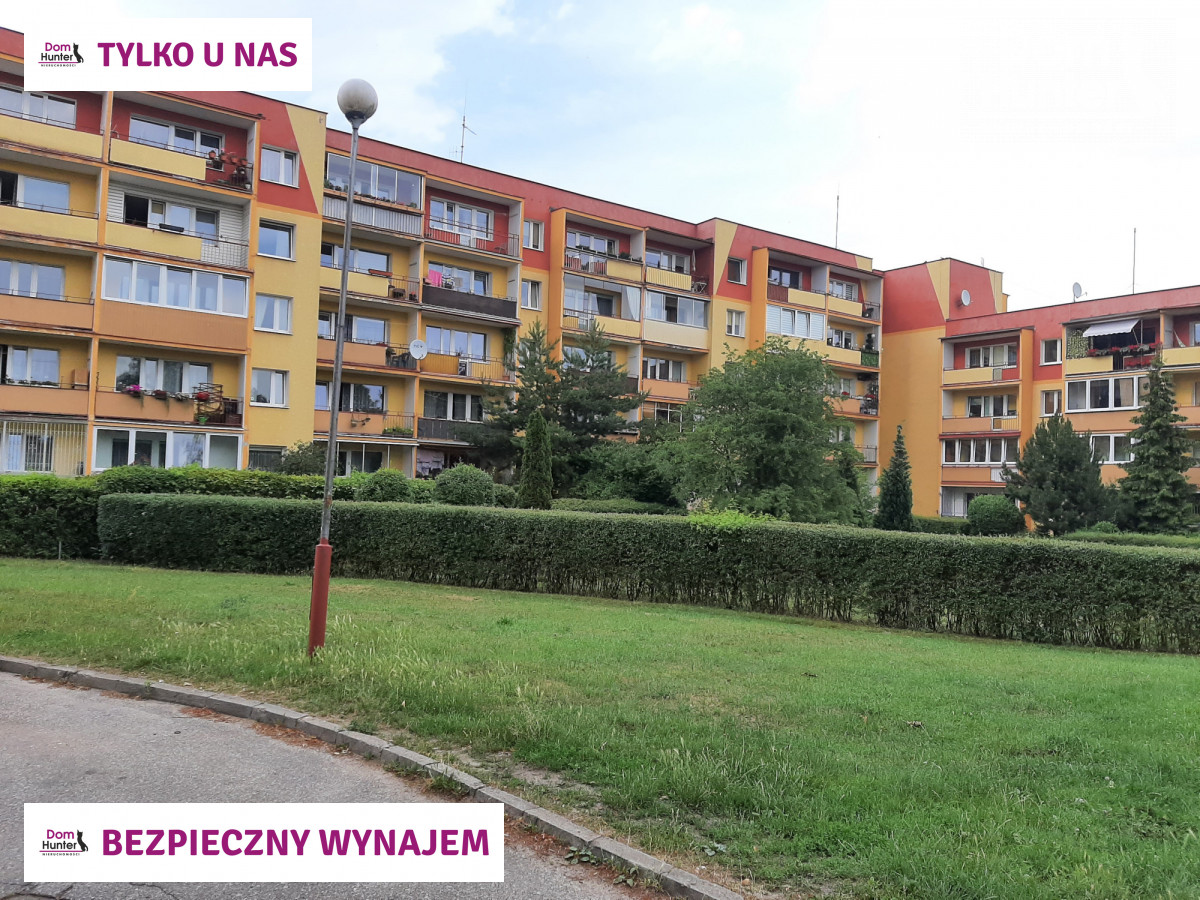 Mieszkanie, wynajem, Chełm, Gdańsk. zdjęcie 20