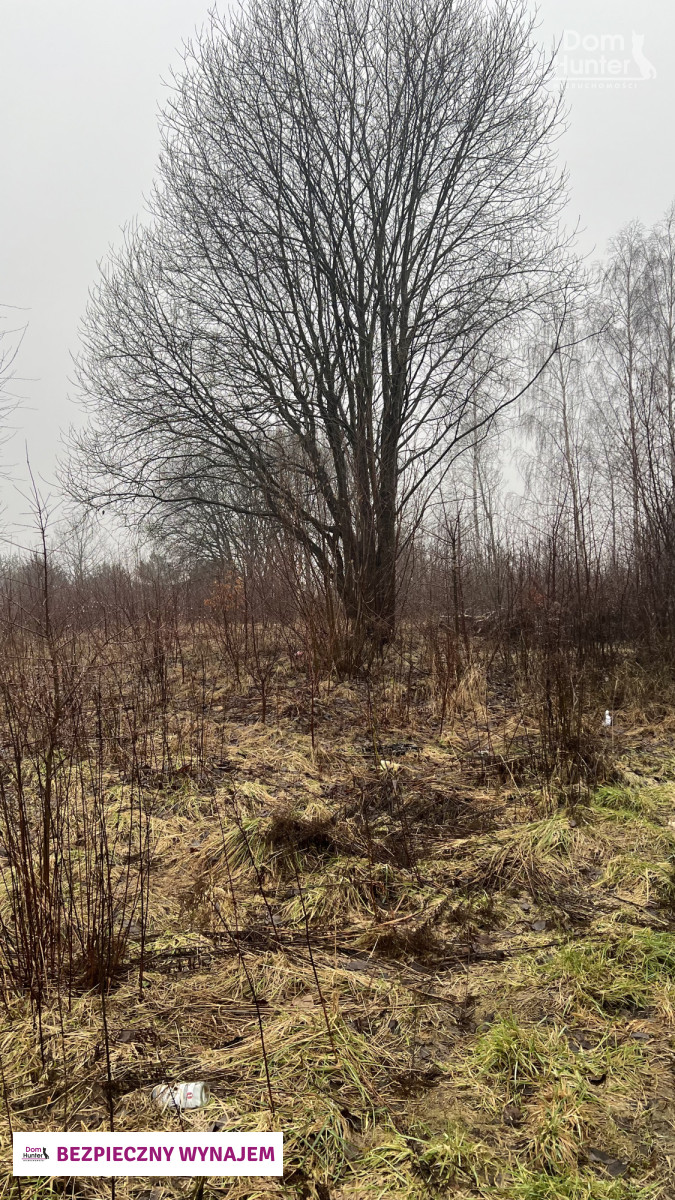 Działka usługowa, wynajem, Klukowo, Gdańsk. zdjęcie 4