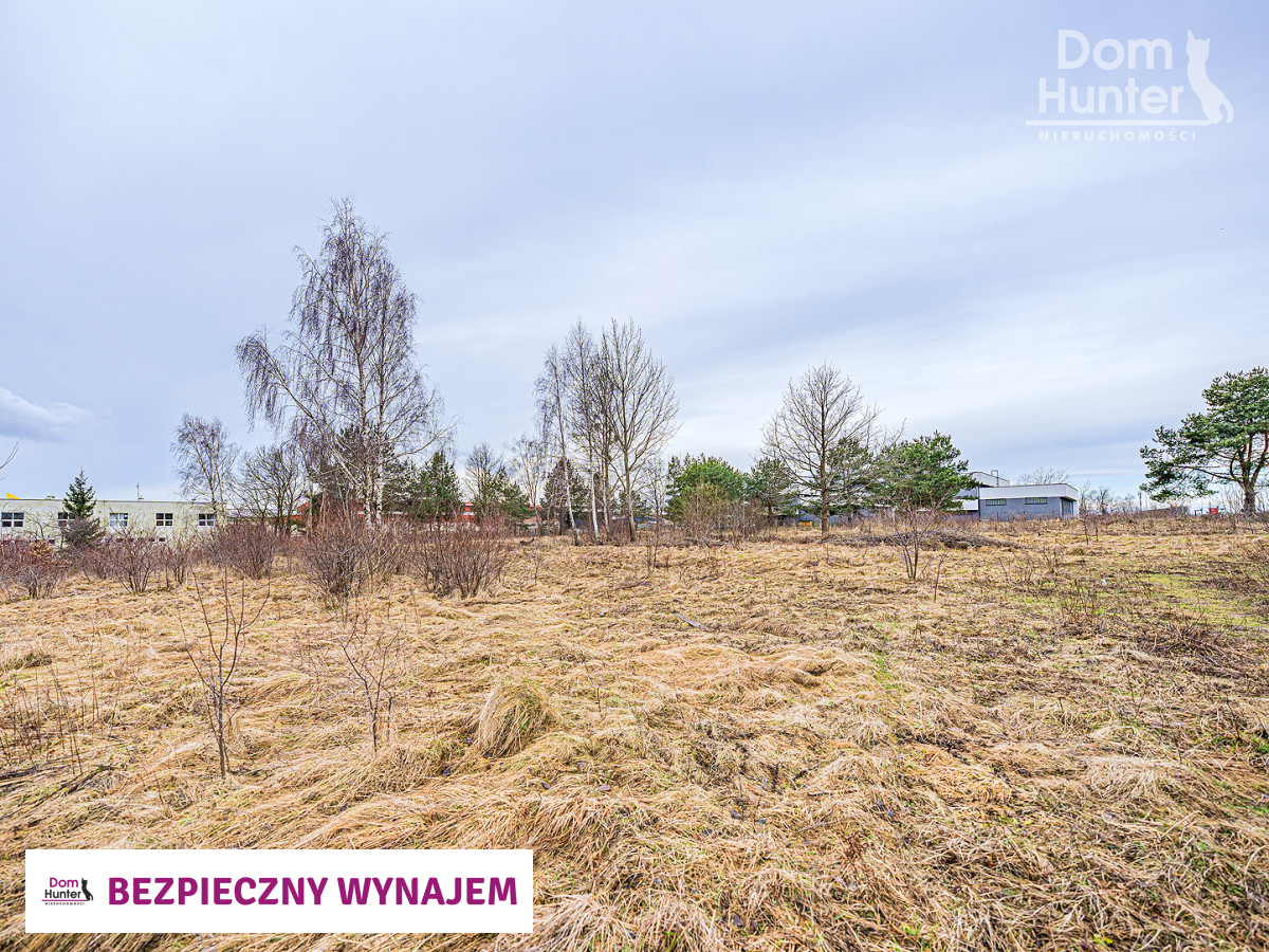 Działka usługowa, wynajem, Klukowo, Gdańsk. zdjęcie 3