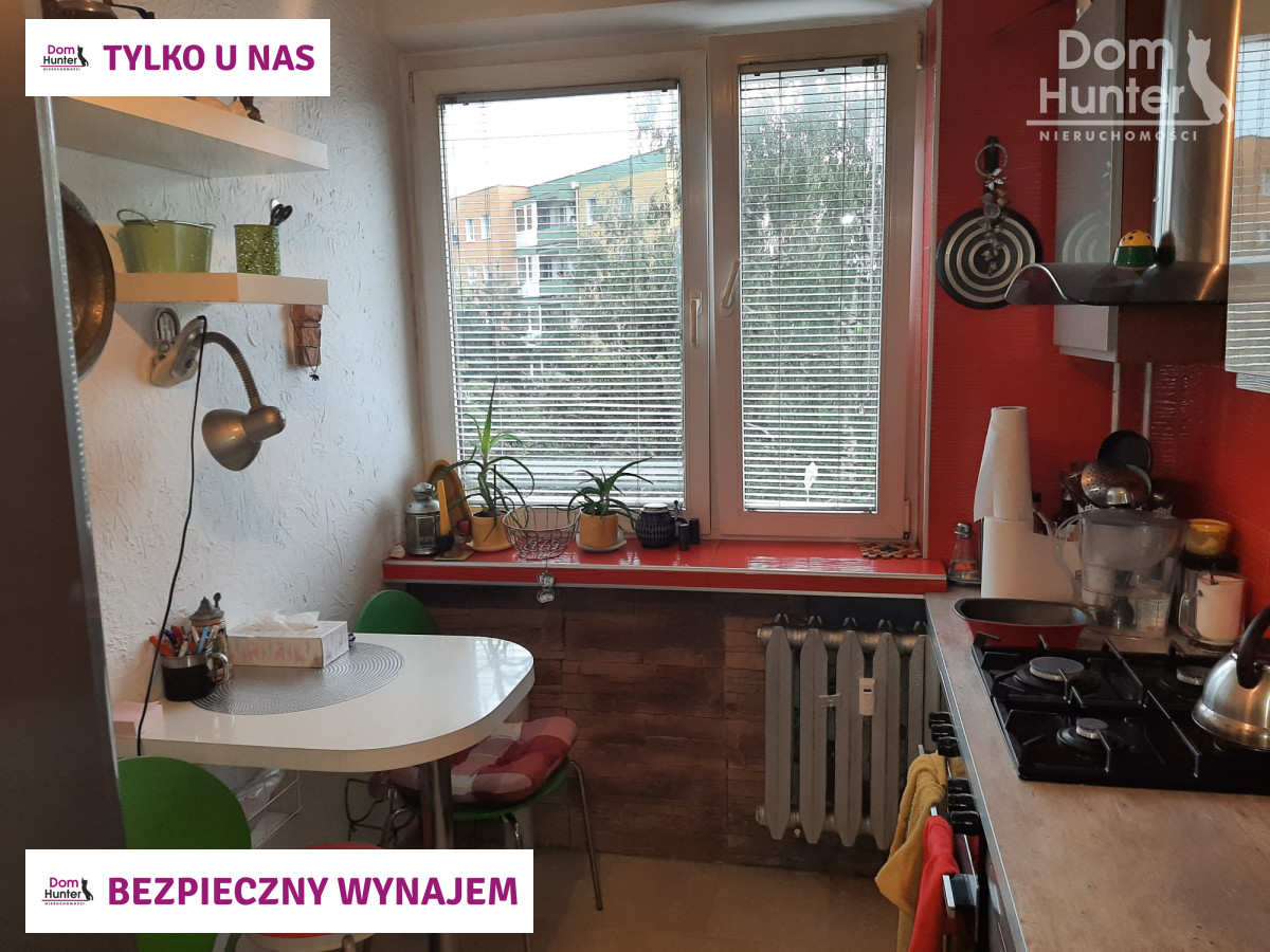 Mieszkanie, wynajem, Zaspa, Gdańsk. zdjęcie 9