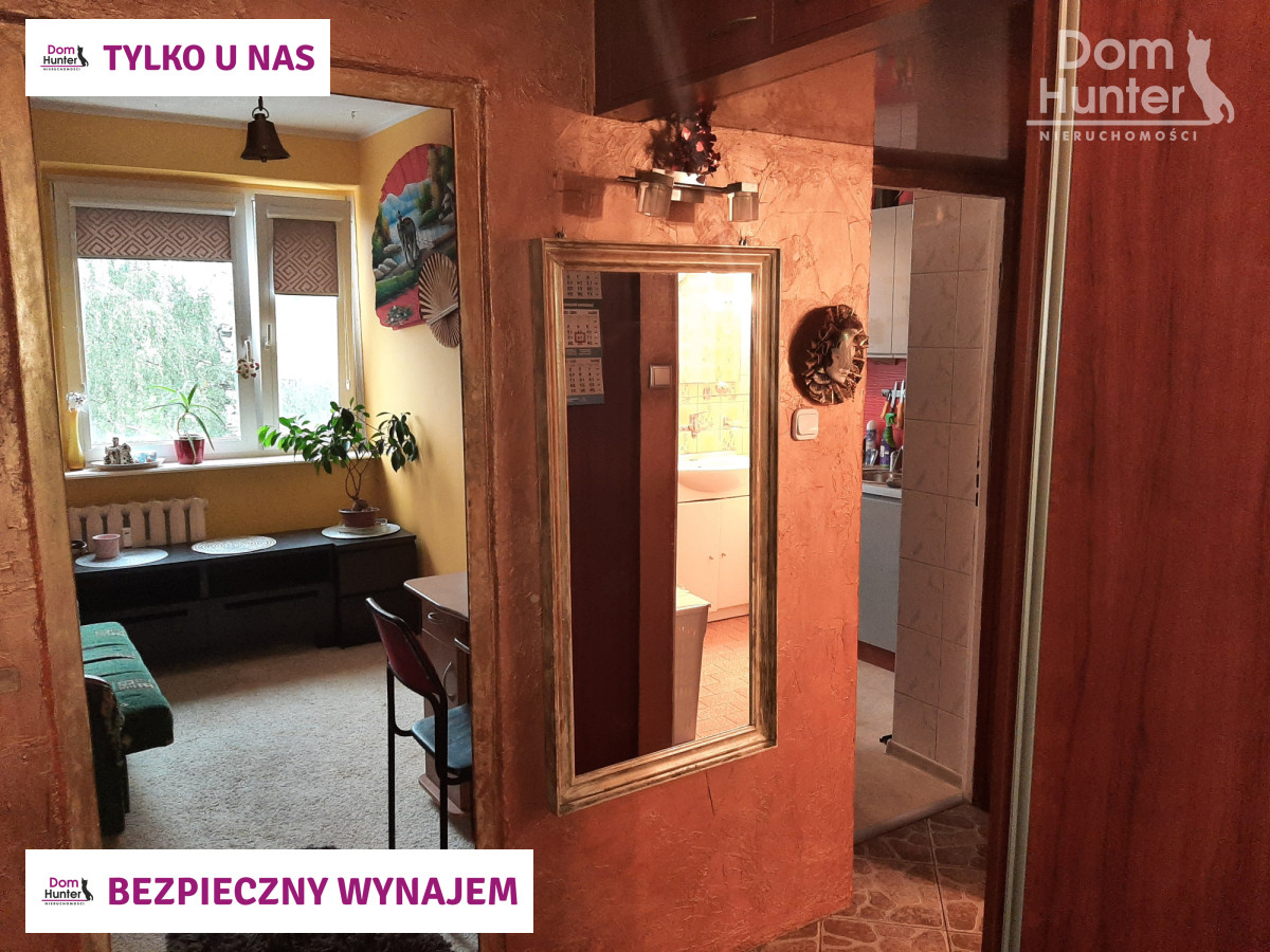Mieszkanie, wynajem, Zaspa, Gdańsk. zdjęcie 12