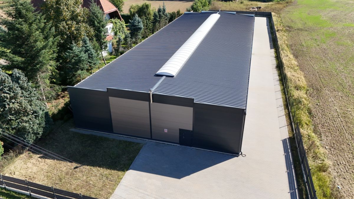 Komercyjny na wynajem