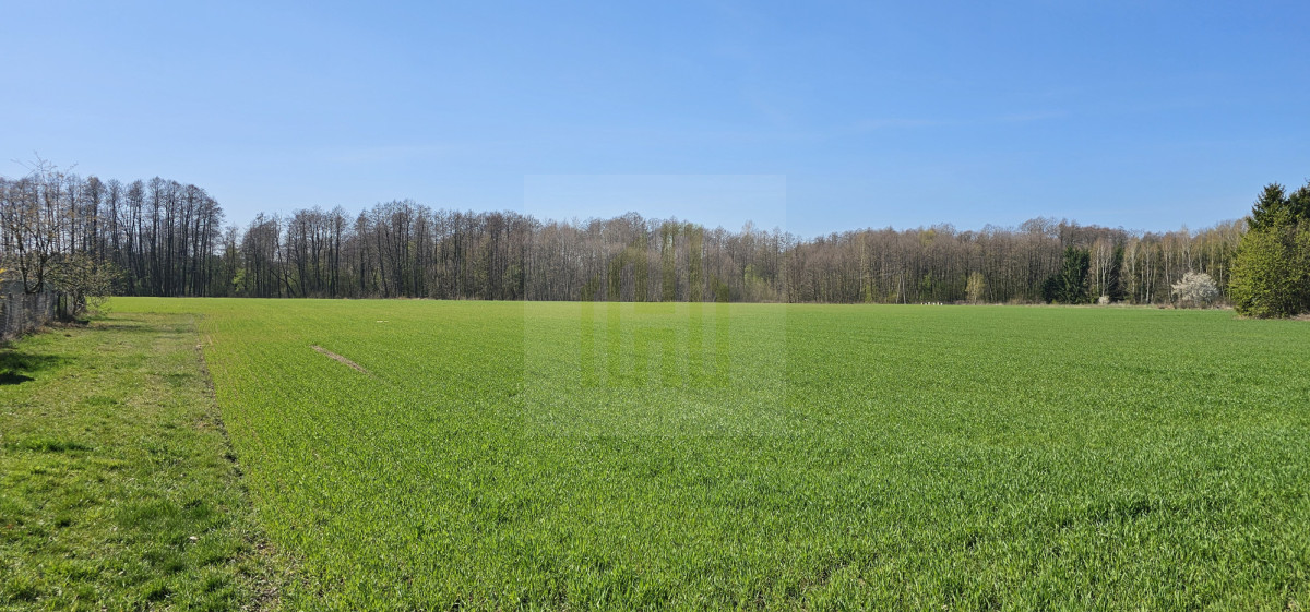 Działka z własną rzeczką 2763m2.