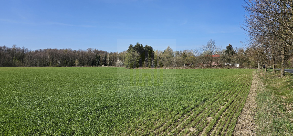 Działka z własną rzeczką 2763m2.