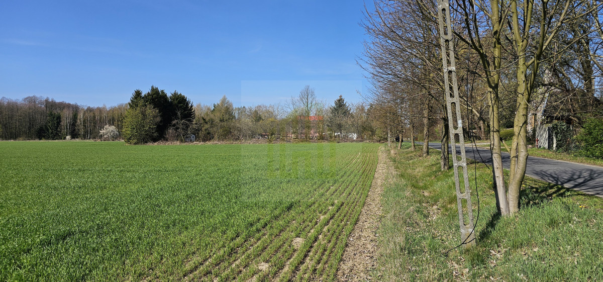 Działka z własną rzeczką 2763m2.