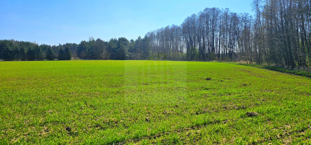 Działka z własną rzeczką 2763m2.