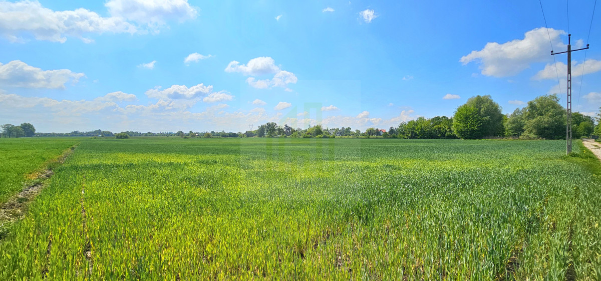 Piękna działka w Bieniewicach 1600 m2.