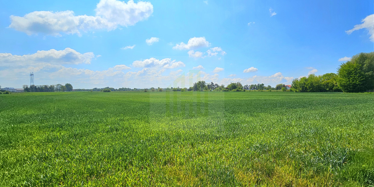 Piękna działka w Bieniewicach 1600 m2.