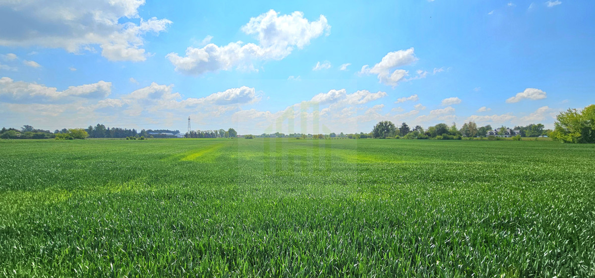 Piękna działka w Bieniewicach 1600 m2.