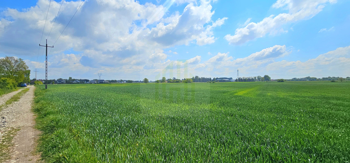 Piękna działka w Bieniewicach 1600 m2.