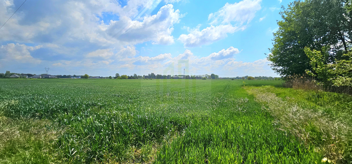 Piękna działka w Bieniewicach 1600 m2.