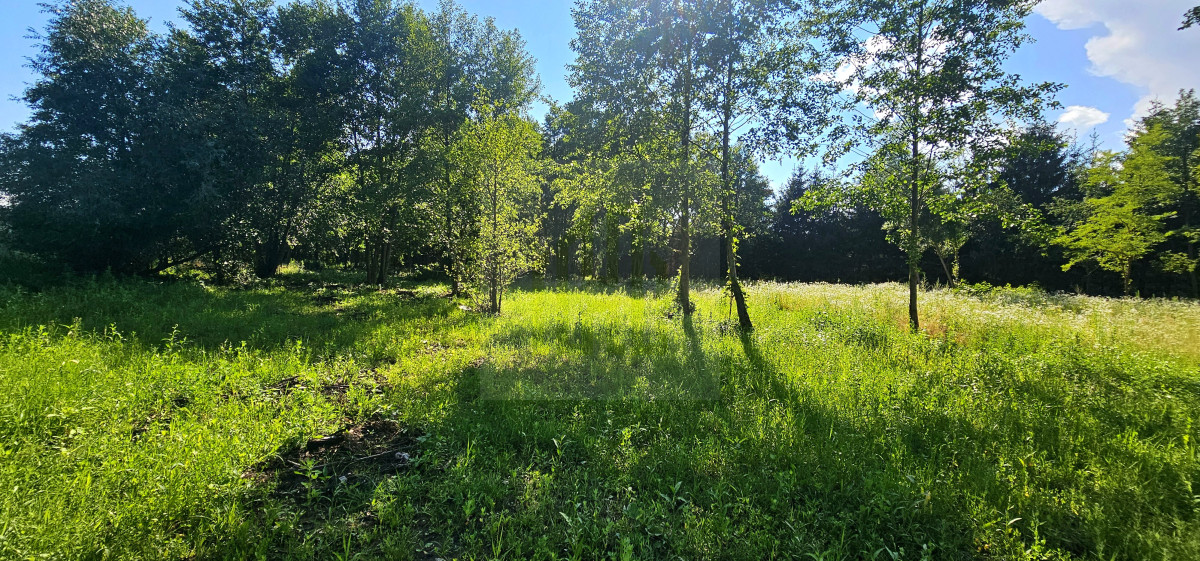 teren pod inwestycję-lokalizacja-szkoła-cisza