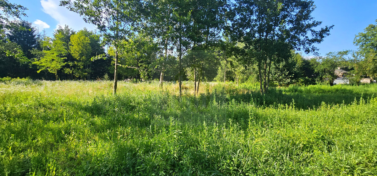 teren pod inwestycję-lokalizacja-szkoła-cisza