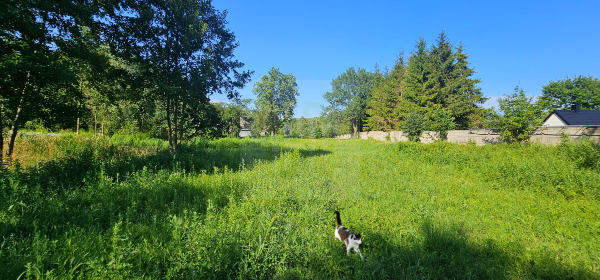 teren pod inwestycję-lokalizacja-szkoła-cisza