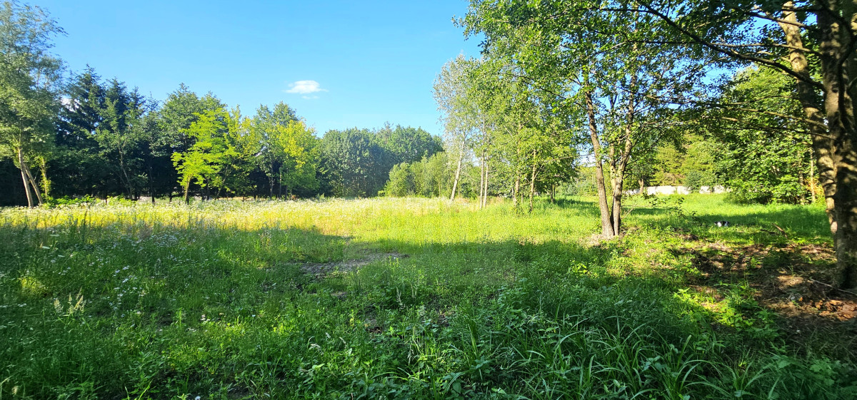 teren pod inwestycję-lokalizacja-szkoła-cisza
