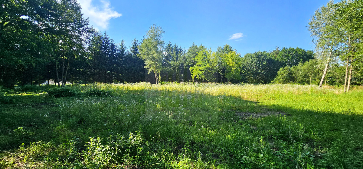 teren pod inwestycję-lokalizacja-szkoła-cisza