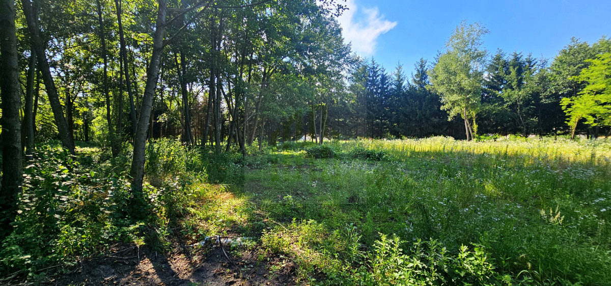 teren pod inwestycję-lokalizacja-szkoła-cisza