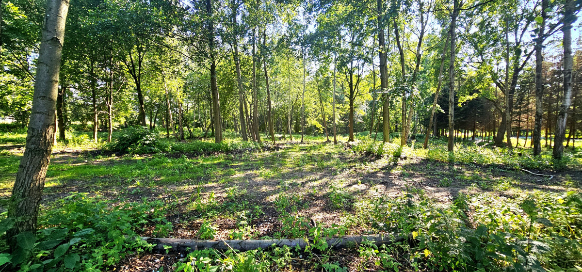 teren pod inwestycję-lokalizacja-szkoła-cisza