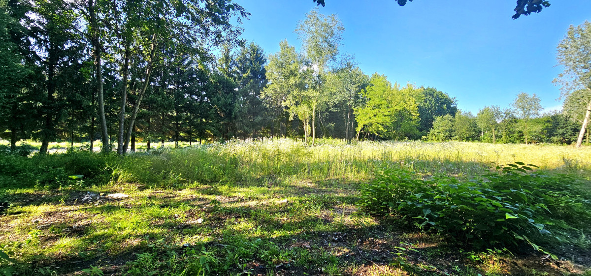 teren pod inwestycję-lokalizacja-szkoła-cisza