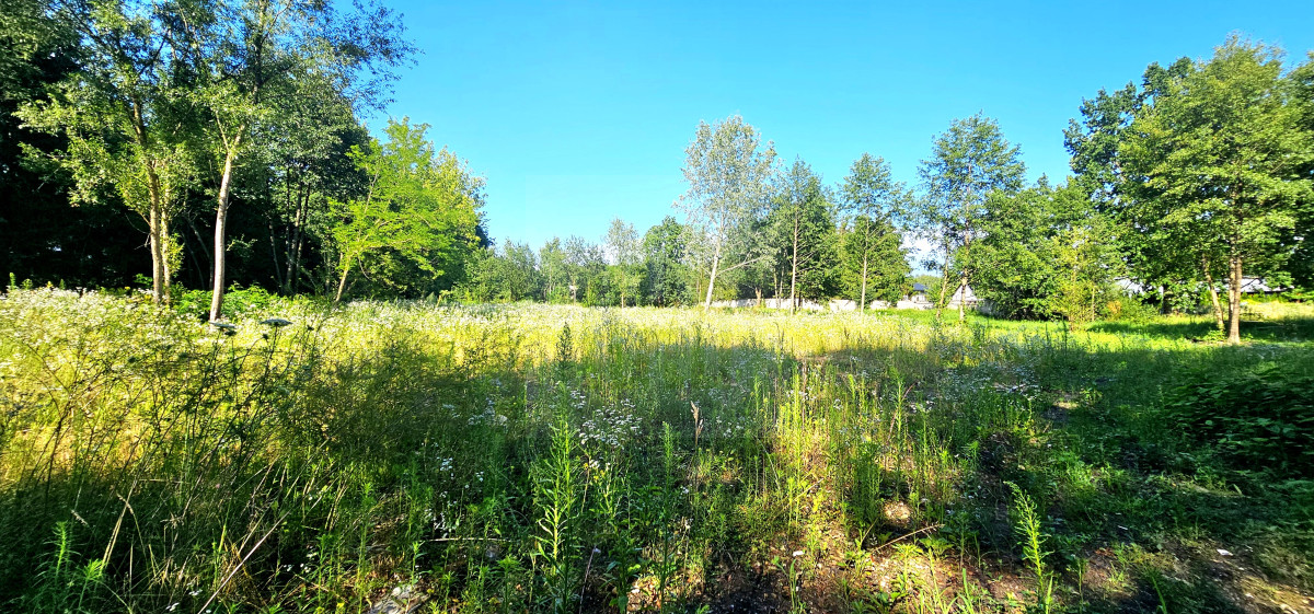 teren pod inwestycję-lokalizacja-szkoła-cisza