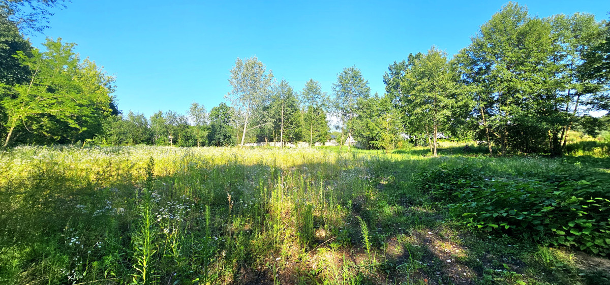 teren pod inwestycję-lokalizacja-szkoła-cisza