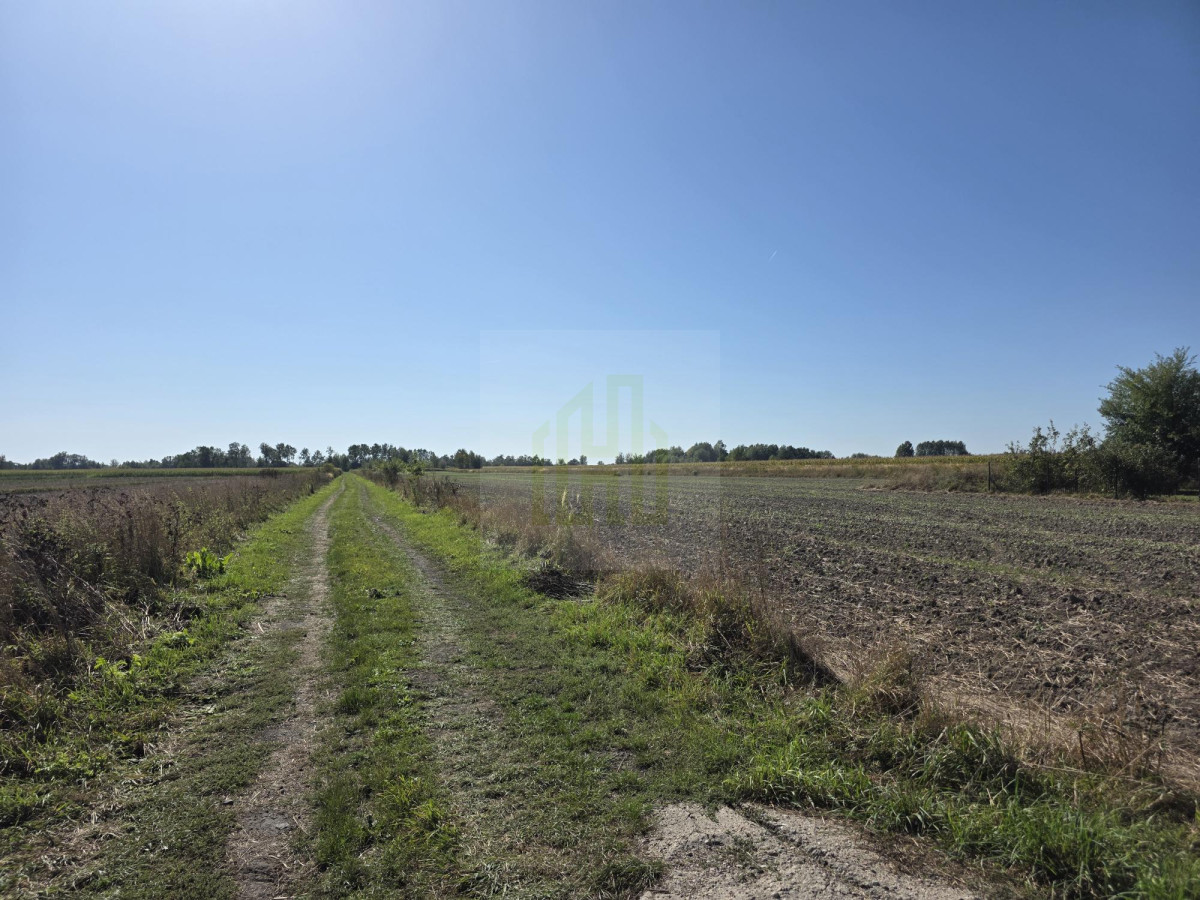 Urokliwa działka pod Błoniem