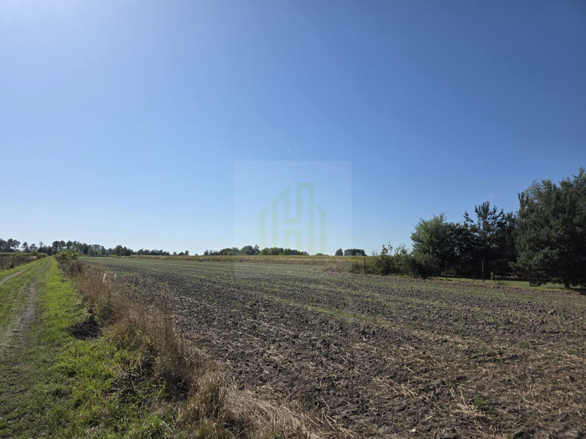 Urokliwa działka pod Błoniem