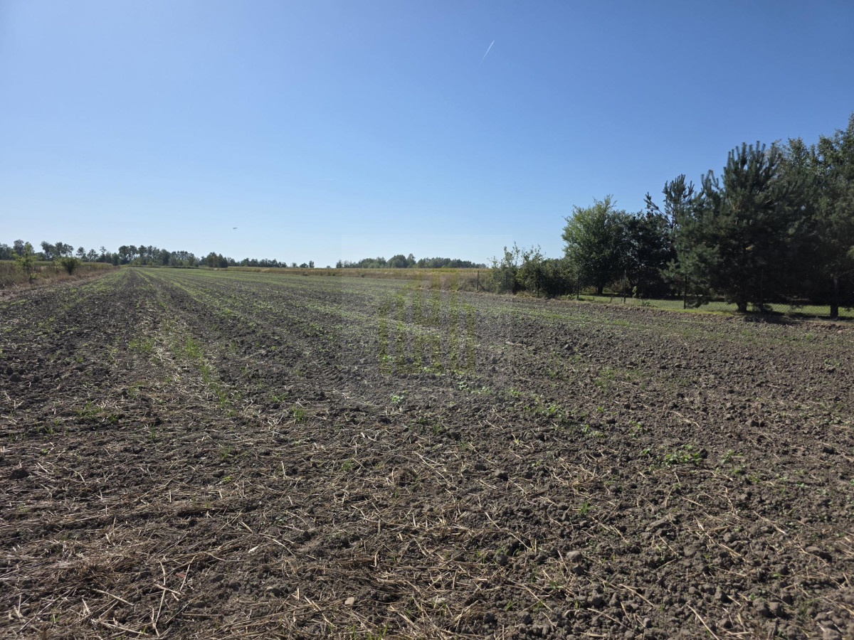 Urokliwa działka pod Błoniem