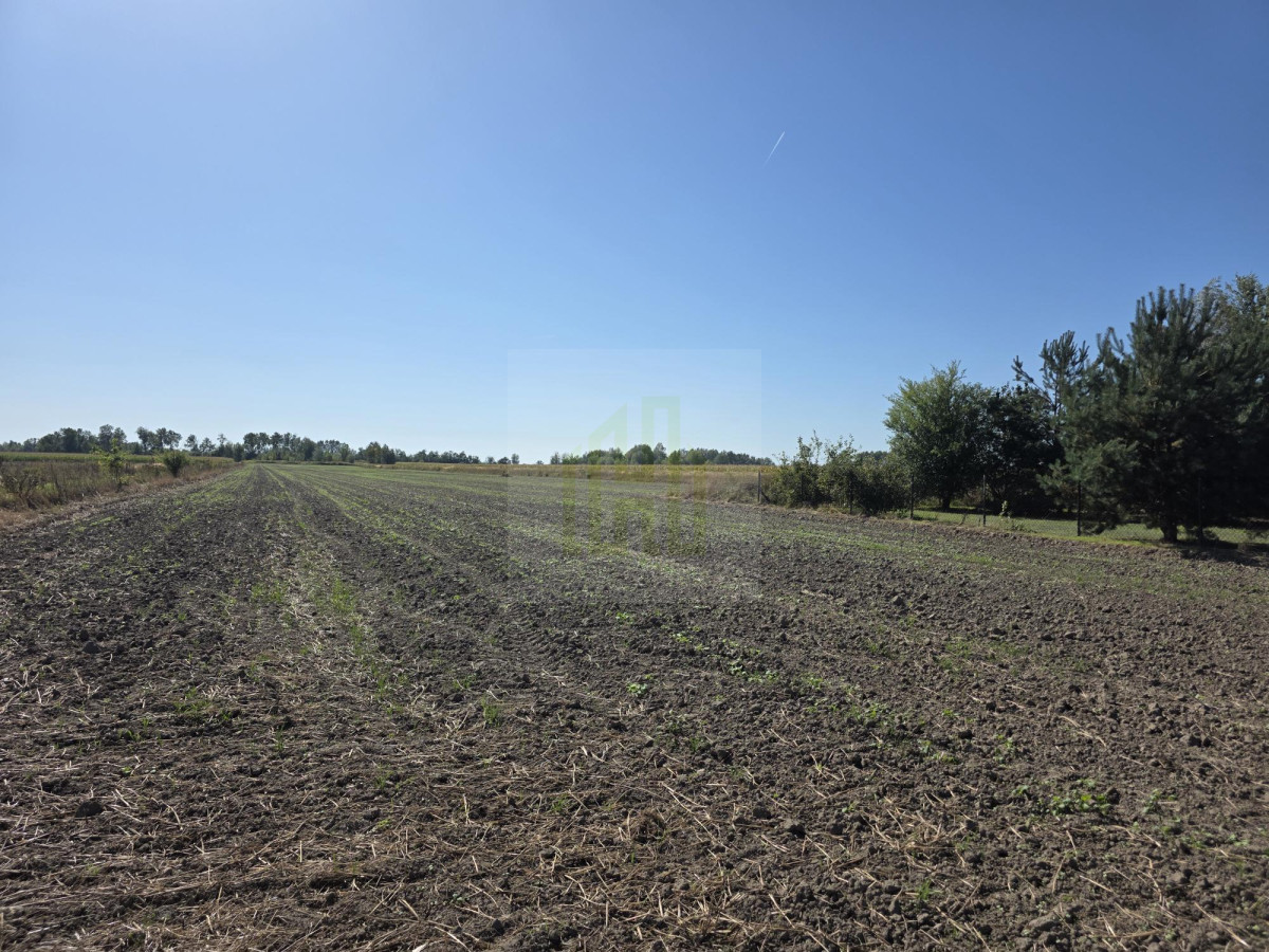 Urokliwa działka pod Błoniem