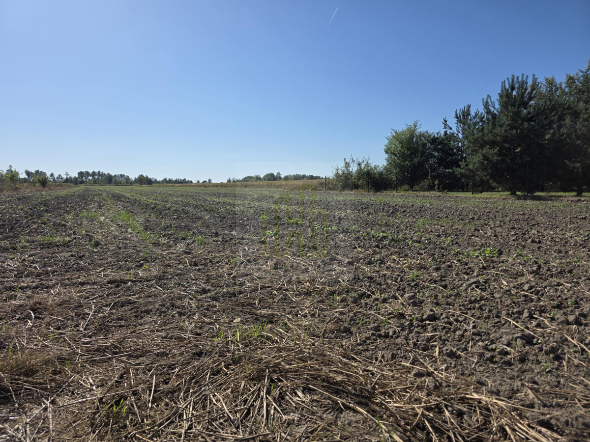 Urokliwa działka pod Błoniem