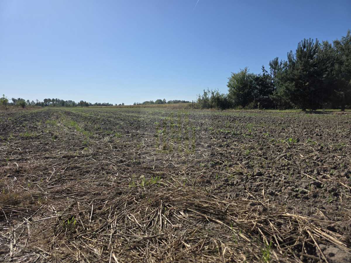 Urokliwa działka pod Błoniem