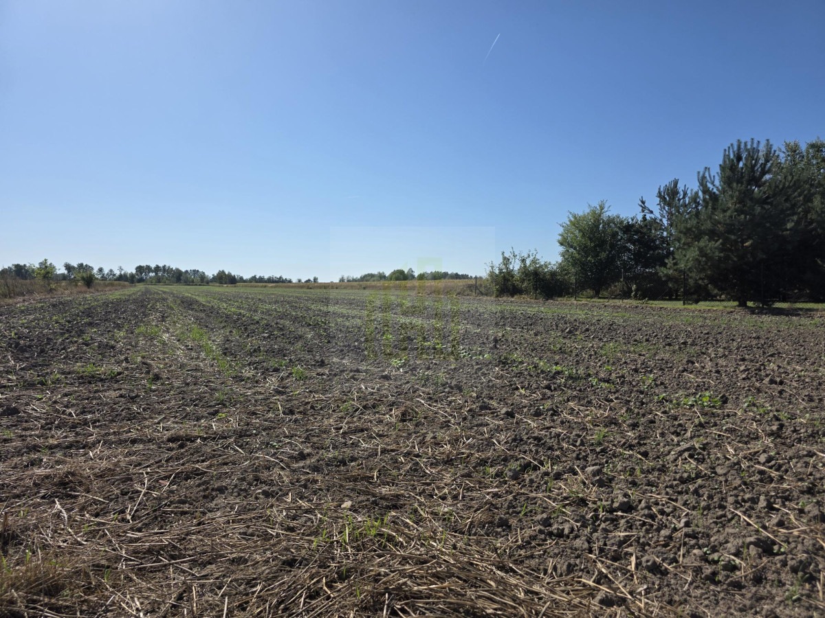 Urokliwa działka pod Błoniem