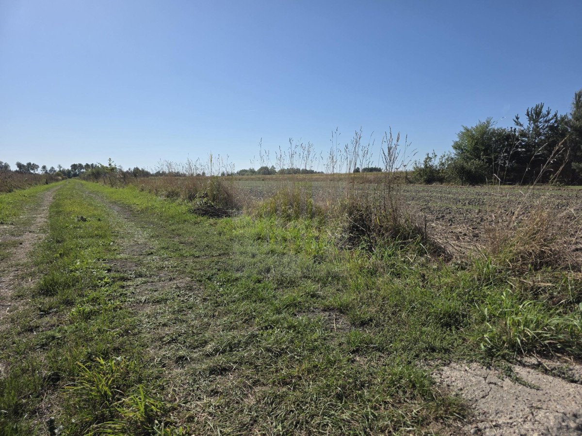 Urokliwa działka pod Błoniem