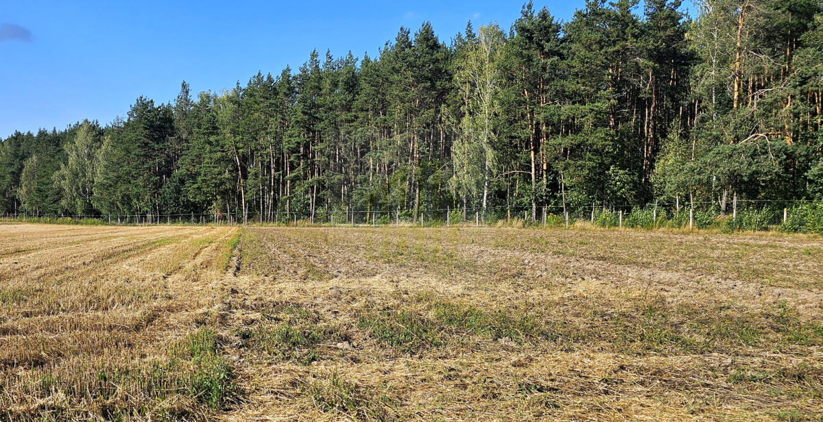 Piękna działka na skraju lasu 3000 m2.