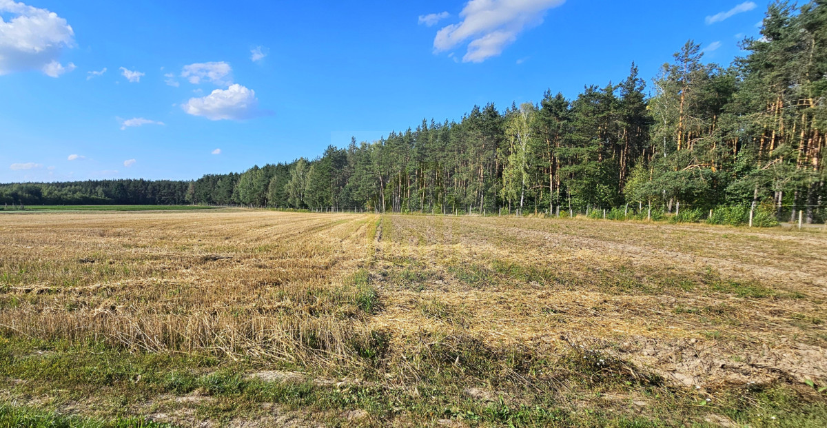 Piękna działka na skraju lasu 3000 m2.