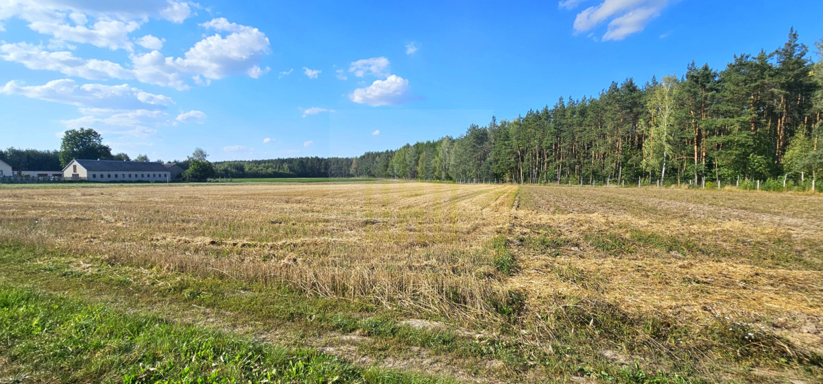 Piękna działka na skraju lasu 3000 m2.