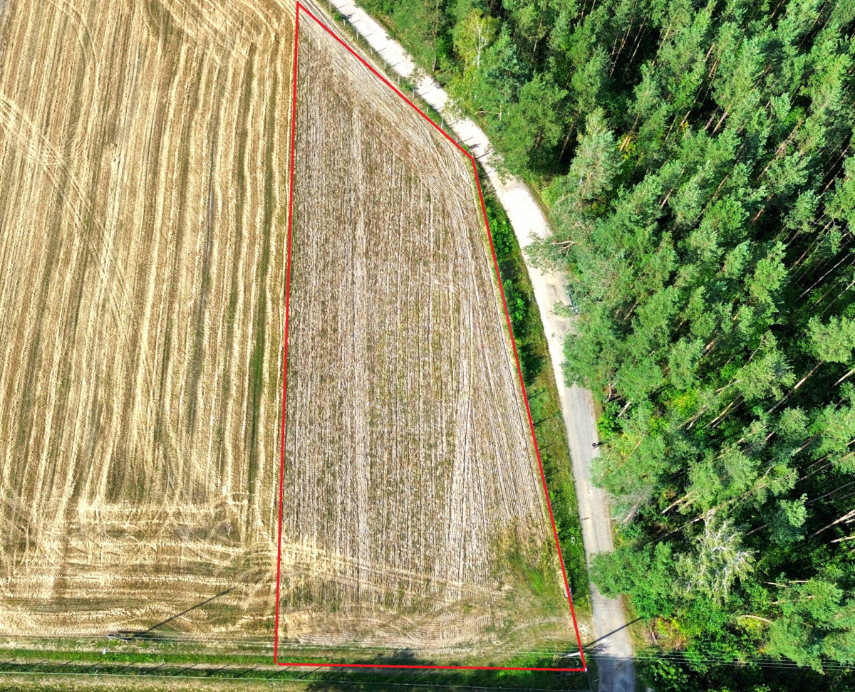 Piękna działka na skraju lasu 3000 m2.