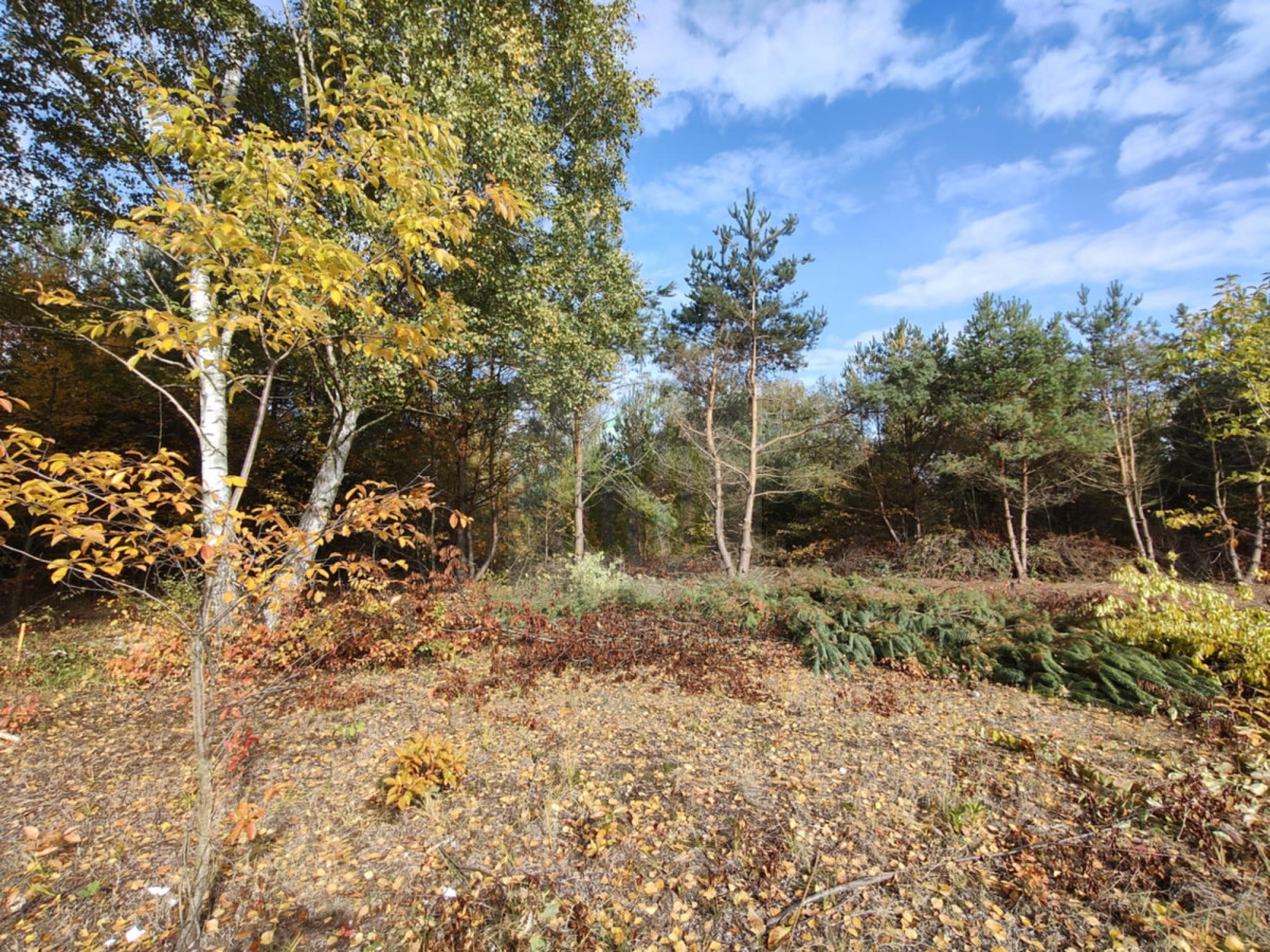 Działka z MPZP pod dom blisko Warszawy