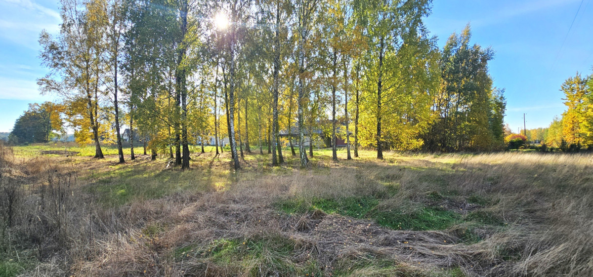 Duża działka-MPZP- jednorodzinna,bliźniacza