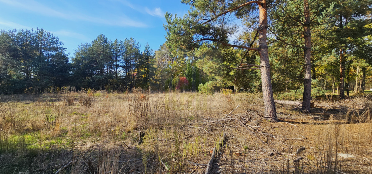 Duża działka-MPZP- jednorodzinna,bliźniacza