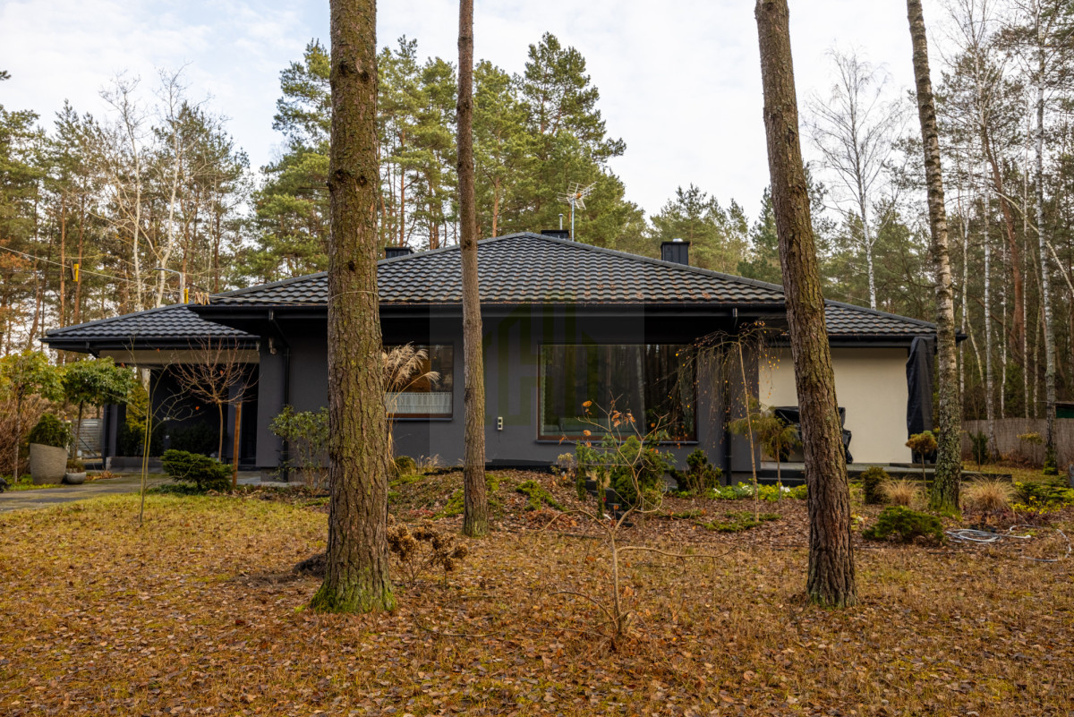 Nowoczesny dom 168,89 m² – cisza, las i przestrzeń