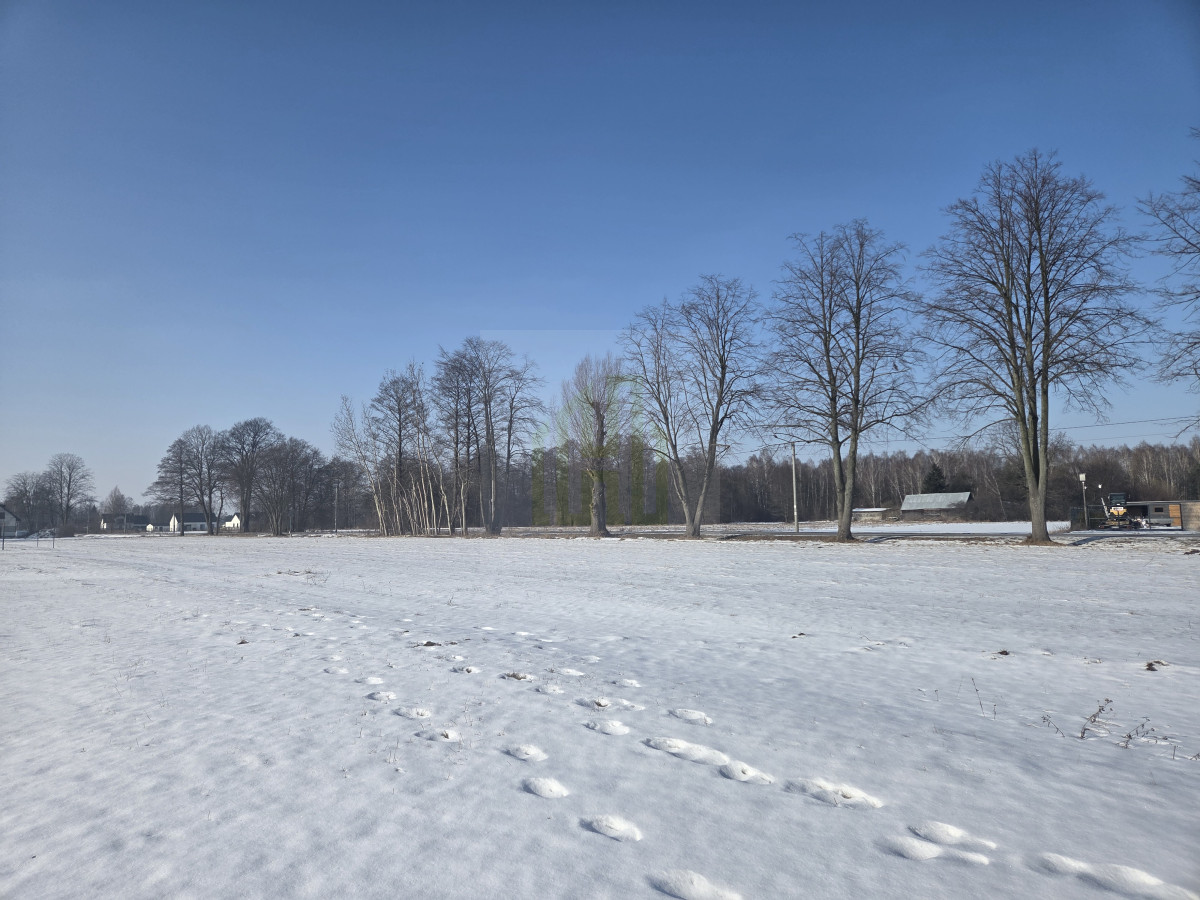 DZIAŁKA ROLNO -BUDOWLANA BUDY ZOSINE