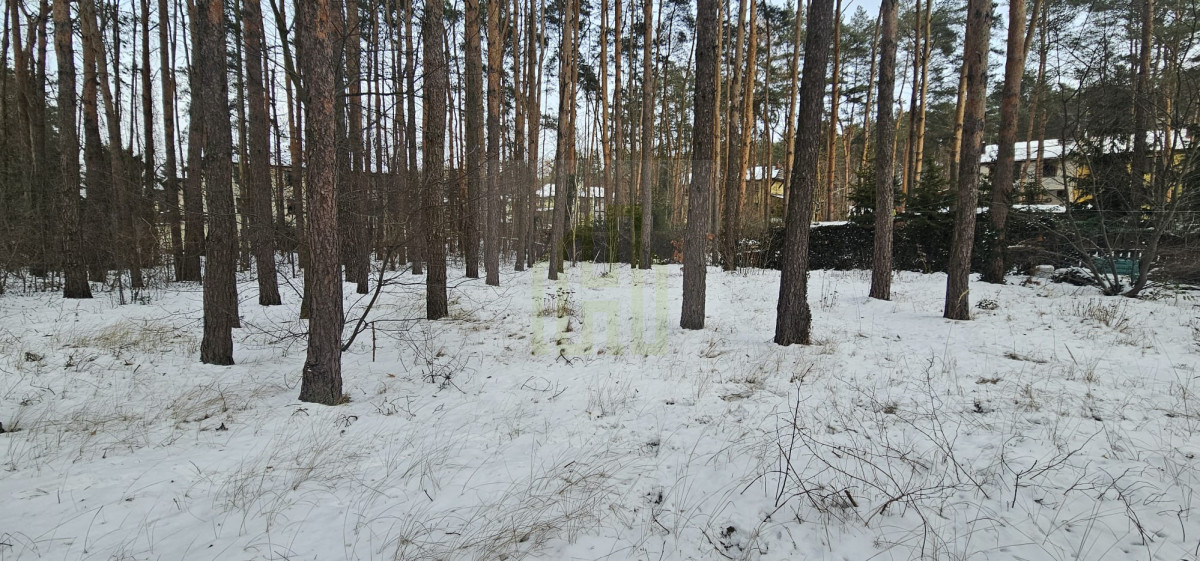 Dom z dużą działką  i szybkim dostępem do Warszawy