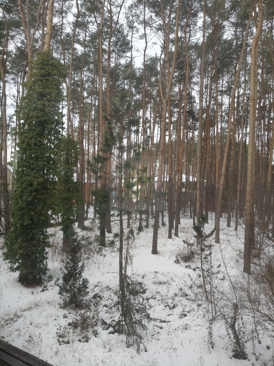 Dom z dużą działką  i szybkim dostępem do Warszawy