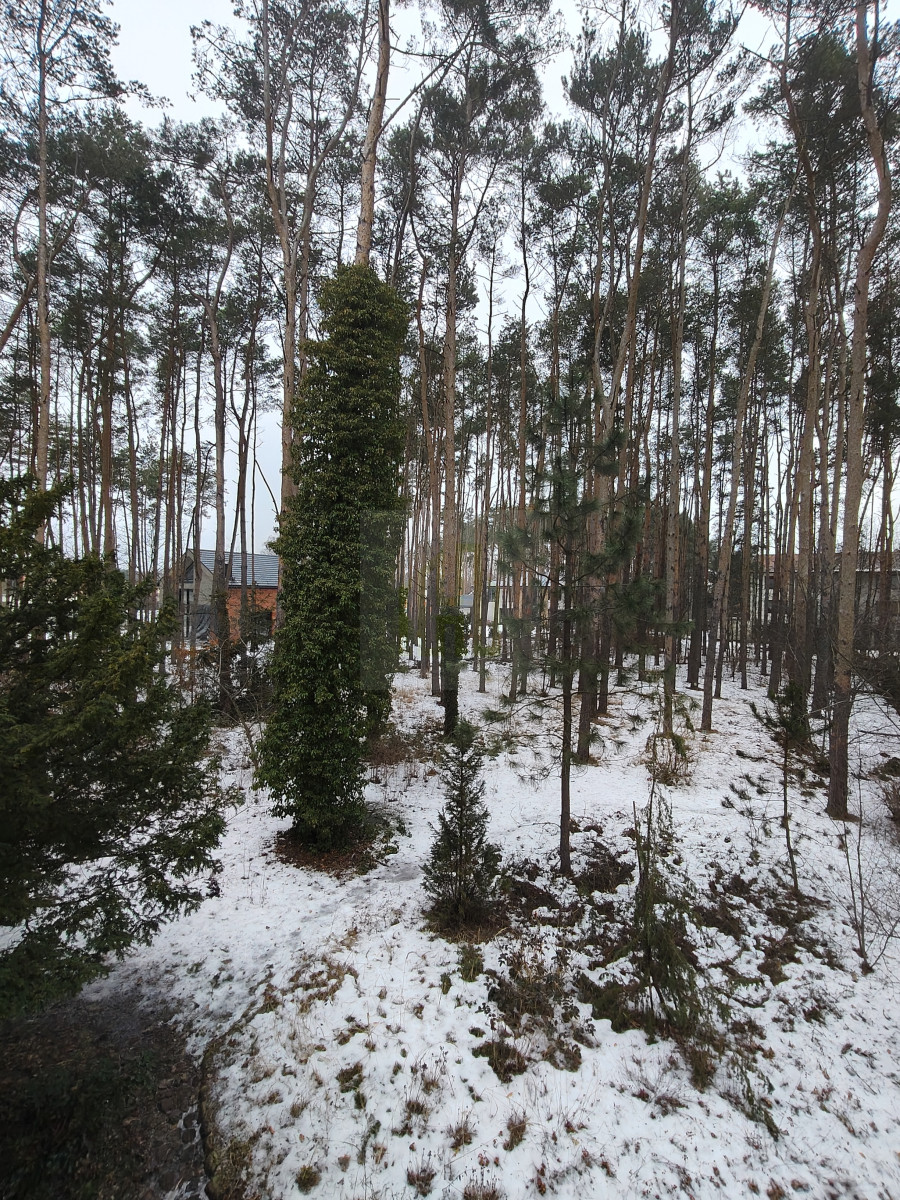 Dom z dużą działką  i szybkim dostępem do Warszawy