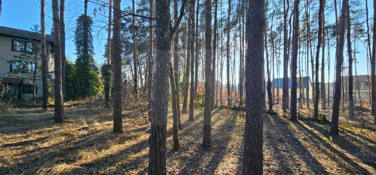 Dom z dużą działką  i szybkim dostępem do Warszawy