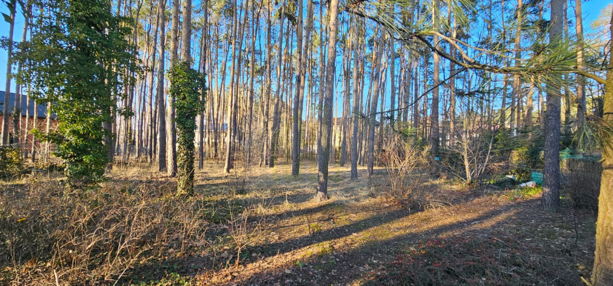 Dom z dużą działką  i szybkim dostępem do Warszawy