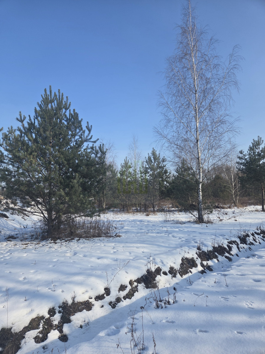 Działka Bieganów idealna pod budowę domu.