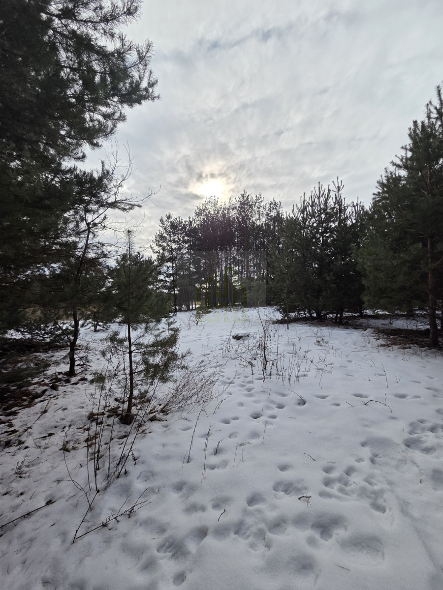 Dom do remontu z duża działką